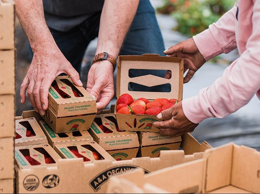 Packaging Innovation