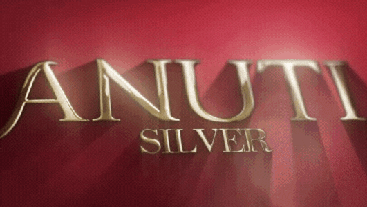 Logo Design & Animation